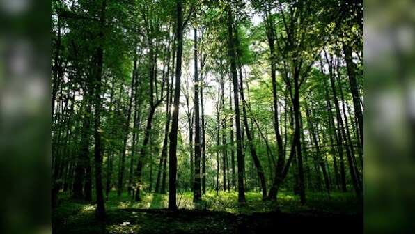 Overcoming depression now a 30-minute walk in the park