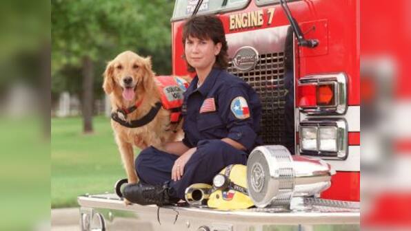 Canine hero of 9/11 breathes her last: Search dog Bretagne, 16, passes away in Texas