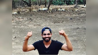 Selfie with a pride of Gir lions? Ravindra Jadeja needs to see a shrink