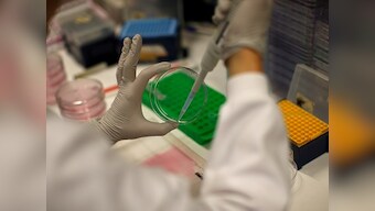 Undergraduate research: A way forward to better global rankings of Indian institutes