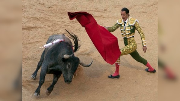No bet, no blood: Bullfighting in the Gulf can still earn its owner a fortune
