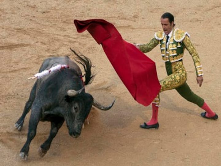 No bet, no blood: Bullfighting in the Gulf can still earn its owner a fortune