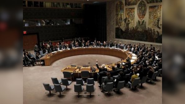 UNSC's sanctions committees reflect 'narrow priorities' of some nations: India