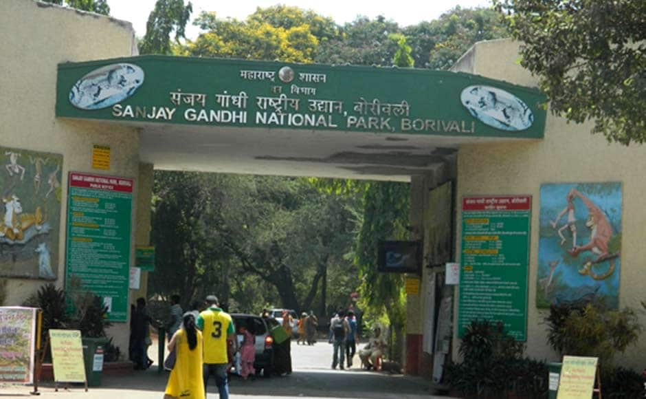 The minister also released a pamphlet "Living With Leopards" containing practical ways to reduce man-animal conflict in the vicinity of Sanjay Gandhi National Park Area. PTI