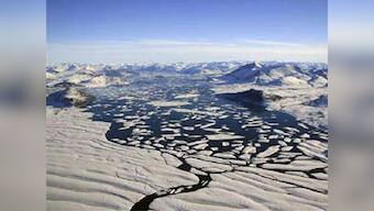 Evidence of climate change? Nasa study shows ice-capped Arctic turning greener