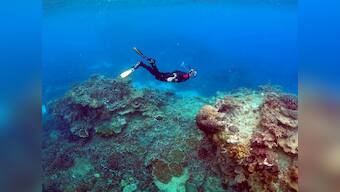 Saving the Great Barrier Reef could cost $11 billion, says study
