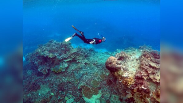 Saving the Great Barrier Reef could cost $11 billion, says study
