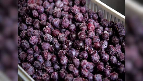 Blueberries help to fight age, memory loss