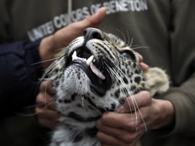 Representational image. Reuters