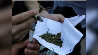 You may lose your tooth if you smoke marijuana daily, warns study