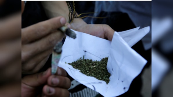 Hyderabad: Ganja dealer arrested; former bank employee grew weed at home