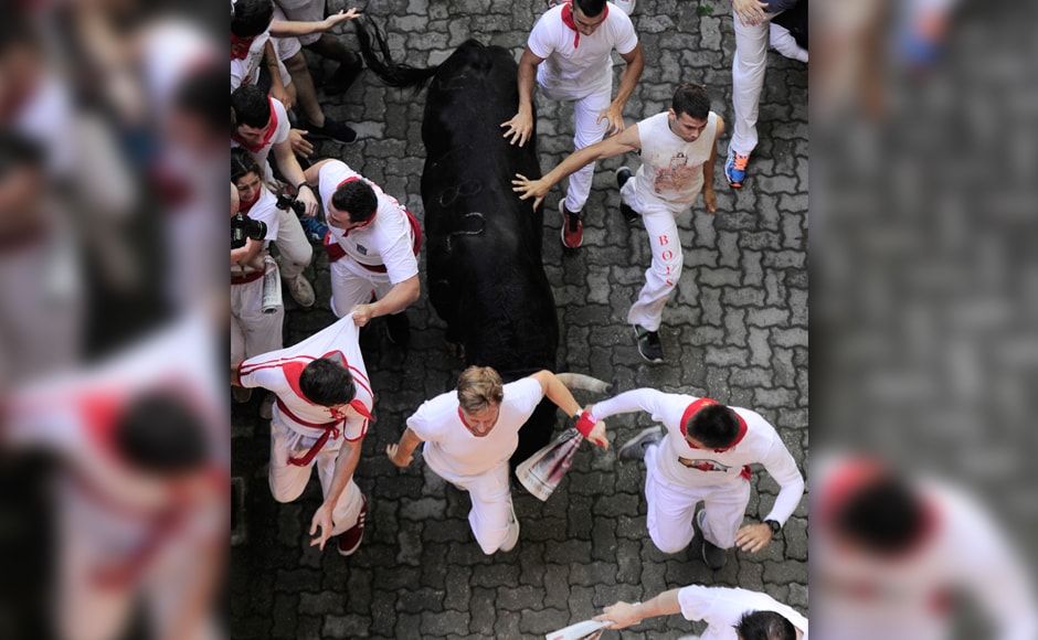 Ahead of the bulls are the runners, who try to stay close to the bulls without falling over or being gored. AFP. Ahead of the bulls are the runners, who try to stay close to the bulls without falling over or being gored. AFP.