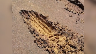 India's beach sand-mining industry set to prosper under private sector