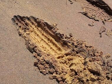 India's beach sand-mining industry set to prosper under private sector