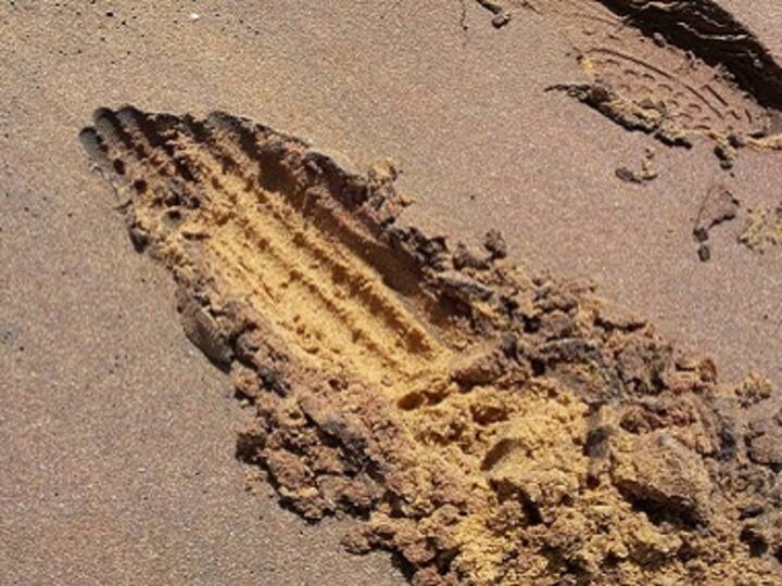 India's beach sand-mining industry set to prosper under private sector