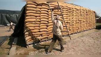 India sends fourth consignment of 2,000 metric tonnes of wheat to Afghanistan