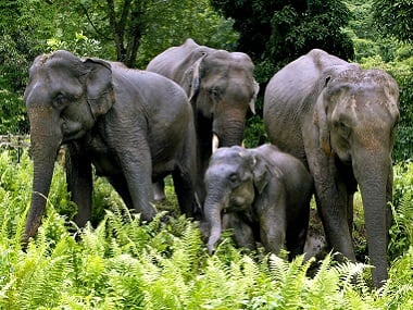 Sikkim's Khangchendzonga National Park now in Unesco 'heritage' list