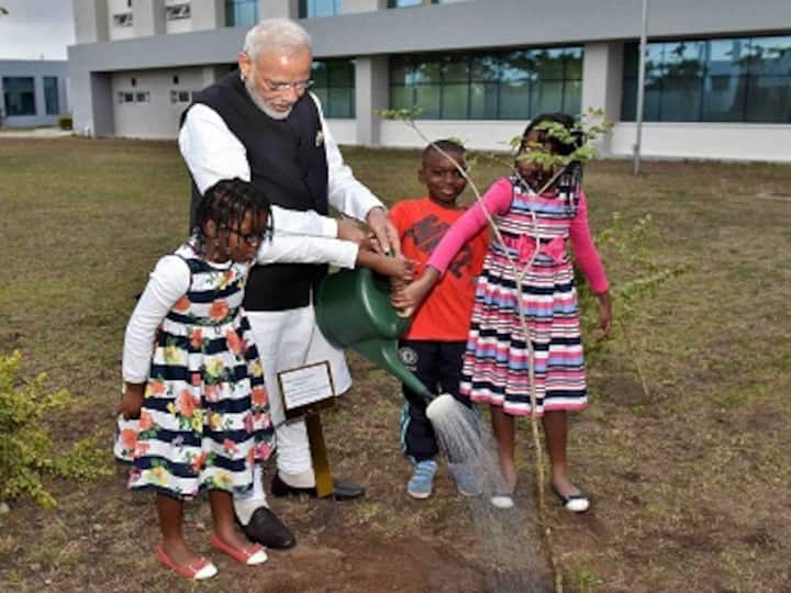 Africa shaped identity of Indian diaspora: PM Modi