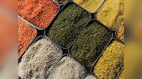 Check rising prices: Govt may hike MSP for pulses, bonus for farmers