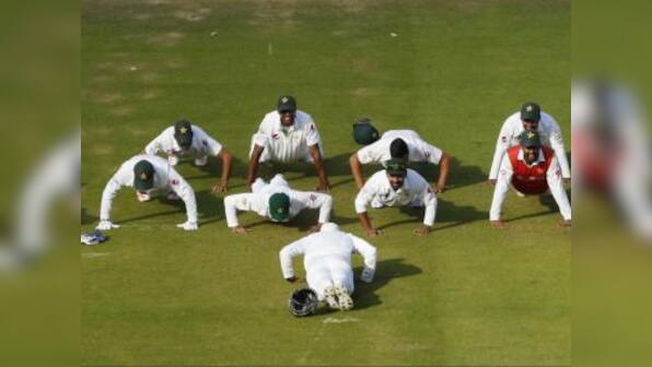 Sorry Pakistan, no press-ups and salutes allowed: The England guide to celebrating properly