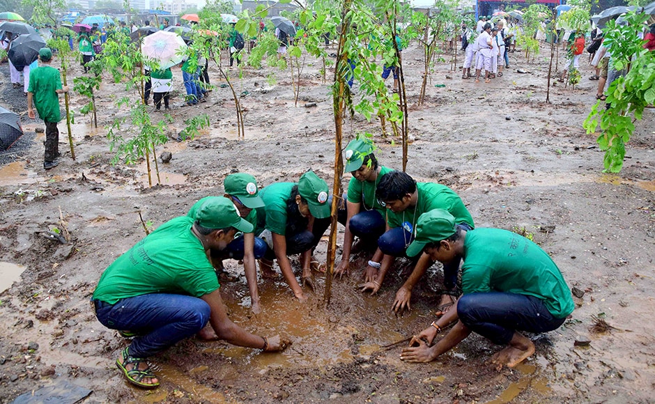 vanamahotsav-2016-17-maharashtra-starts-green-drive-with-two-crore