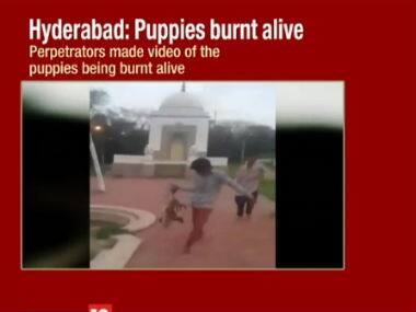 Screenshot from CNN-News18 video.