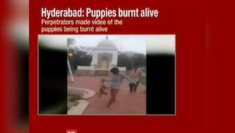 Yet another incident of animal cruelty: Youths in Hyderabad arrested for burning puppies alive
