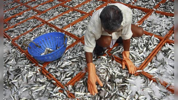 Oh fish! What's wrong in aquaculture and why one needs to educate govt on new fish farm policy