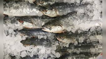 Instead of helping, fish oil drives people towards a heart attack