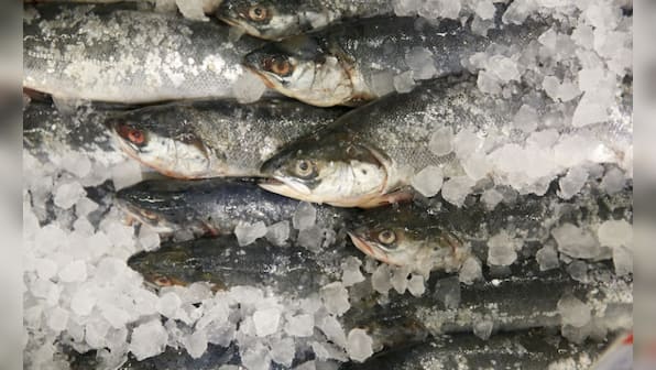 Instead of helping, fish oil drives people towards a heart attack