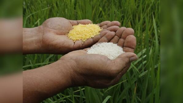 Why does govt continue to procure rice and wheat in a big way but ignore nutritional crops?