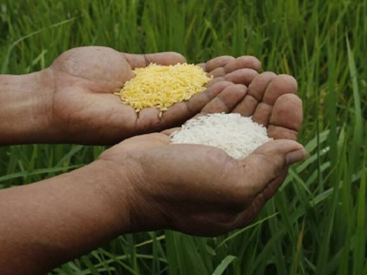Why does govt continue to procure rice and wheat in a big way but ignore nutritional crops?