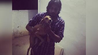 Dog thrown off a roof in Chennai: Animal rights activist calls for stringent laws