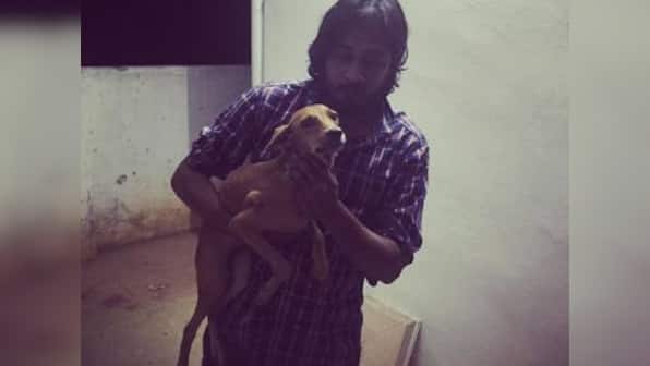 Dog thrown off a roof in Chennai: Animal rights activist calls for stringent laws