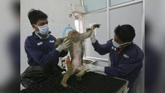 Veterinary education and practices in India are in dire need of change