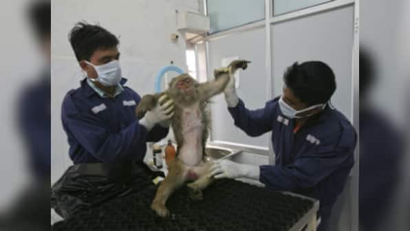 Veterinary education and practices in India are in dire need of change