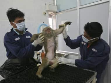 Veterinary education and practices in India are in dire need of change