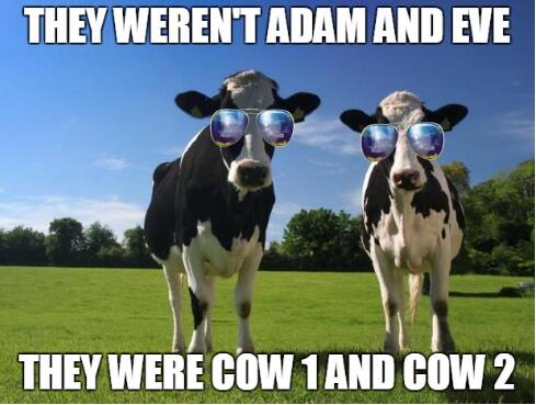 Cow1Final