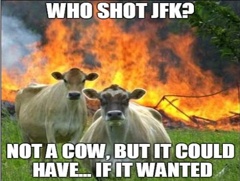 Cow3Final