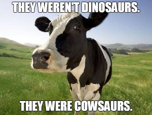 Cow5