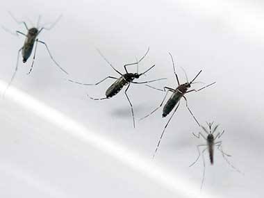 Delhi stung by chikungunya, dengue: Angry SC rebukes Najeeb Jung, Arvind Kejriwal