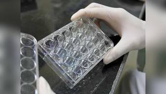 Scientists at National Institute of Virology discover new genotype of the Dengue virus