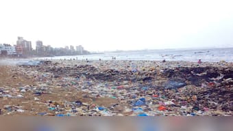 Ganesh Visarjan: Remember environmental crisis more critical than religious sentiment
