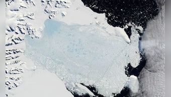 Rapid growth in Larsen C ice shelf's huge crack may soon destabilise Antarctic's largest structure
