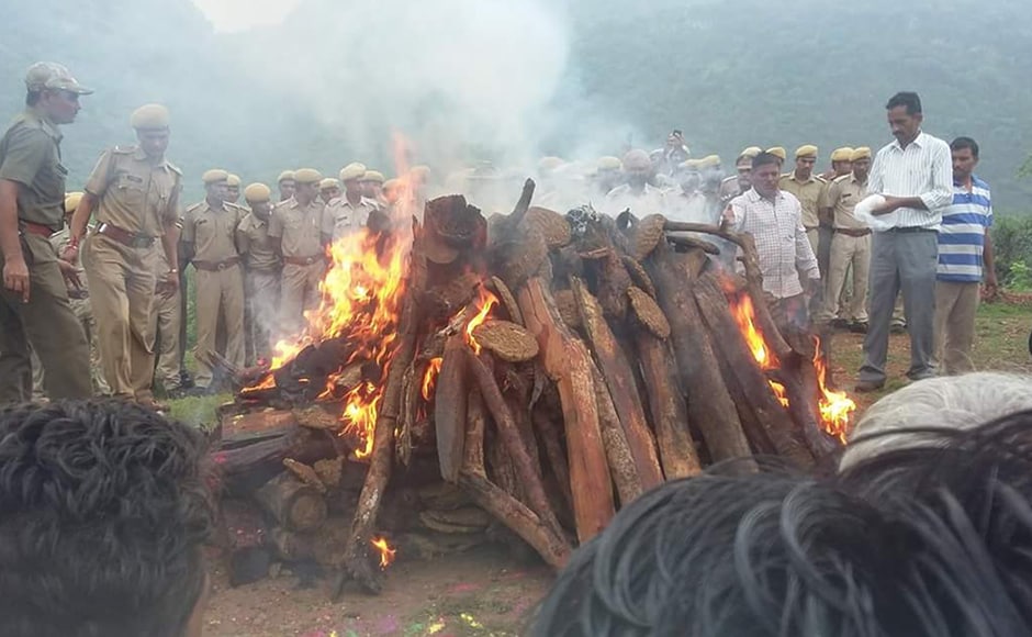 Forest officials and locals at the cremation of India's most famous tigress Machhli. The tigress, photographed by hundreds and loved by thousands, breathed her last on Thursday afternoon at Ranthambore National Park in Rajasthan. Firstpost / Hemraj Meena Forest officials and locals at the cremation of India's most famous tigress Machhli. The tigress, photographed by hundreds and loved by thousands, breathed her last on Thursday afternoon at Ranthambore National Park in Rajasthan. Firstpost / Hemraj Meena