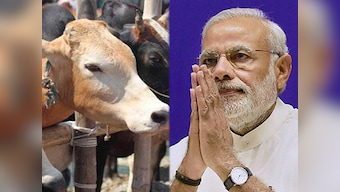 Gau rakshak, fake and genuine: Did Narendra Modi just sanction marauders to maraud?