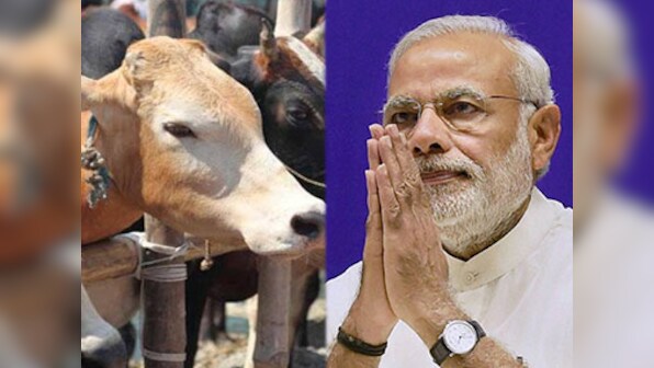 Gau rakshak, fake and genuine: Did Narendra Modi just sanction marauders to maraud?