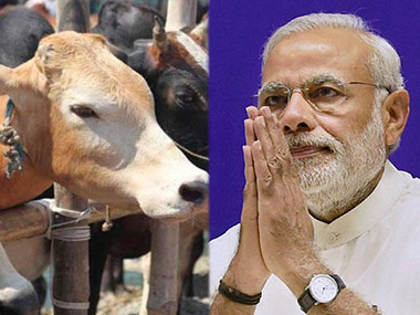Gau rakshak, fake and genuine: Did Narendra Modi just sanction marauders to maraud? Gau rakshak, fake and genuine: Did Narendra Modi just sanction marauders to maraud?