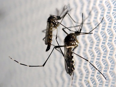 Mosquito species have various preferences; knowing them can help us protect ourselves better Mosquito species have various preferences; knowing them can help us protect ourselves better
