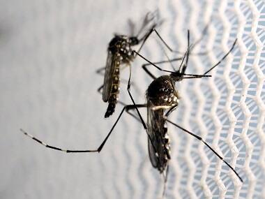 16 in Manipur village succumb to mosquito-borne diseases along the India-Myanmar border